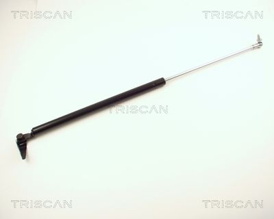 Газовая пружина, крышка багажник TRISCAN 871013245