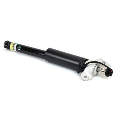 Amortizators Arnott SK-3433
