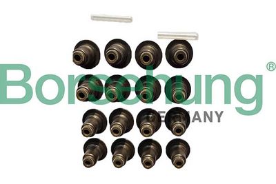 Уплотнительное кольцо, стержень клапана Borsehung B12506