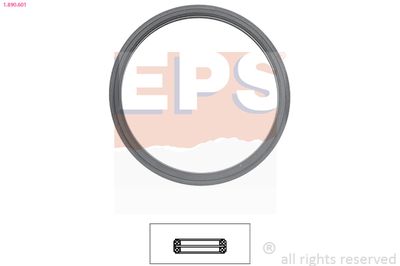 EPS 1890601 Blīve, Termostats