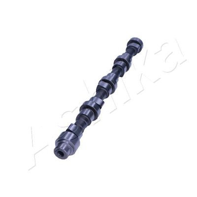 Sadales vārpsta ASHIKA 16MH000