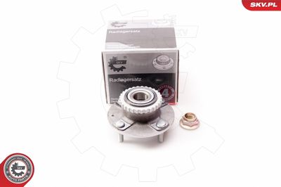 Комплект подшипника ступицы колеса ESEN SKV 29SKV114