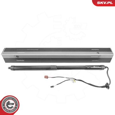 Электромотор, задняя дверь ESEN SKV 52SKV284