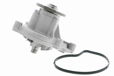 Ūdens sūknis, dzinēja dzesēšana VAICO V30-50056