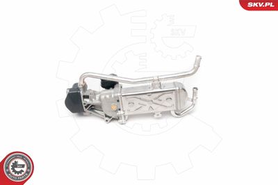 Клапан возврата ОГ ESEN SKV 14SKV095