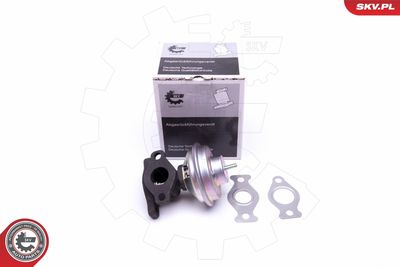 Клапан возврата ОГ ESEN SKV 14SKV204