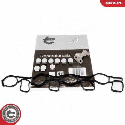 Ремкомплект, модуль впускного коллектора ESEN SKV 49SKV511