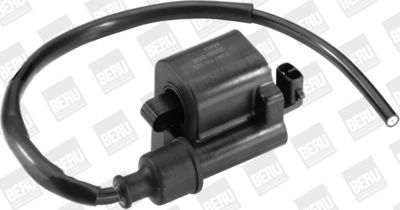 Aizdedzes spole BorgWarner (BERU) ZS520