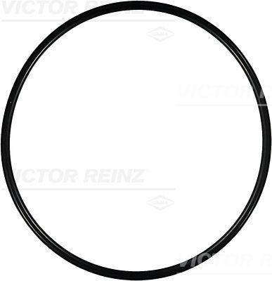 Уплотнительное кольцо VICTOR REINZ 40-76166-00