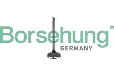 Впускной клапан BORSEHUNG B19029
