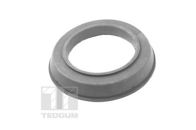 Atsperes atbalstplāksne TEDGUM TED11767