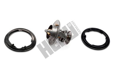 Термостат, охлаждающая жидкость HEPU TM1317