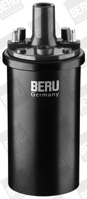 Aizdedzes spole BorgWarner (BERU) ZS119