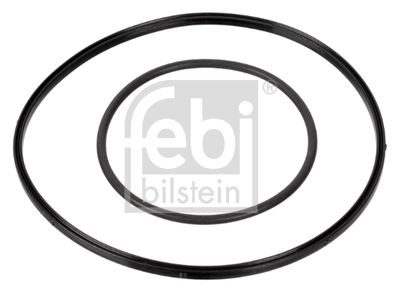 Blīvju komplekts, Vakuumsūknis FEBI BILSTEIN 174463