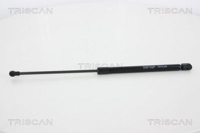Gāzes atspere, Bagāžas/Kravas nodalījuma vāks TRISCAN 8710 66207