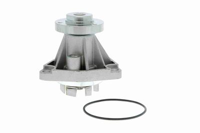 Ūdens sūknis, dzinēja dzesēšana VAICO V40-50036