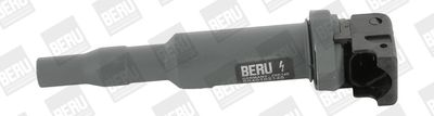 Aizdedzes spole BorgWarner (BERU) ZSE145