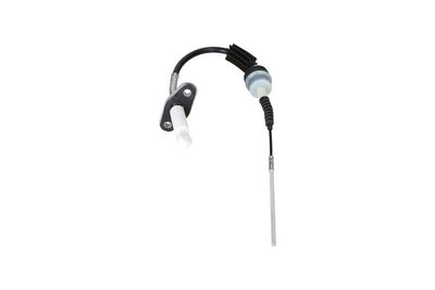 Trose, Sajūga pievads KAMOKA LC119