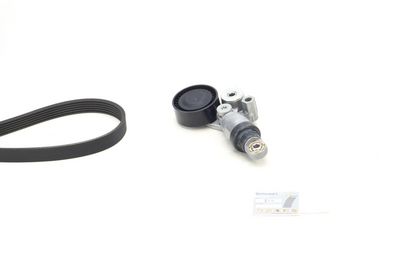Ķīļrievu siksnu komplekts CONTINENTAL CTAM 6PK955K2