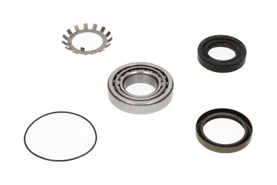 Комплект подшипника ступицы колеса KAVO PARTS WBK-5508