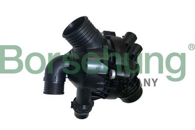 termostat Borsehung B10553