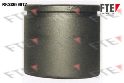 Поршень, корпус скобы тормоза FTE 9313481