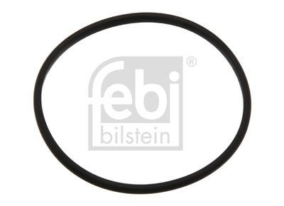 FEBI BILSTEIN 11834 Blīve, Termostats