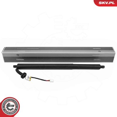 Elektromotors, Bagāžas nod. vāks ESEN SKV 52SKV298