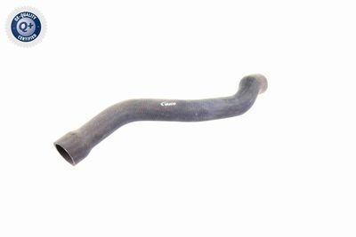 Шланг радиатора VAICO V302221