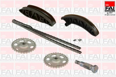 Sadales vārpstas piedziņas ķēdes komplekts FAI AutoParts TCK235NG