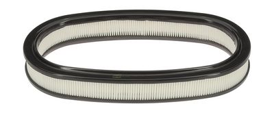 Gaisa filtrs CHAMPION CAF100225R