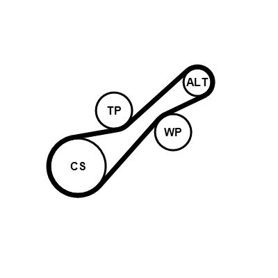  CONTINENTAL CTAM 6PK900K1