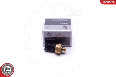 Датчик, давление подачи топлива ESEN SKV 17SKV620