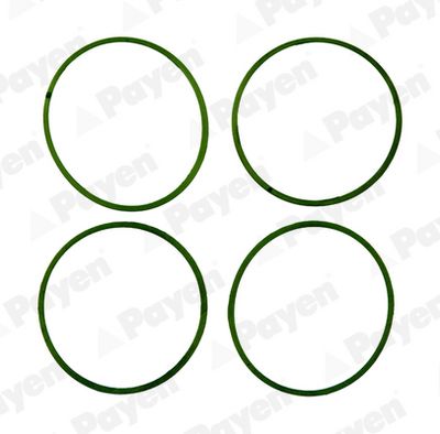 Комплект прокладок, впускной коллектор PAYEN HA5032