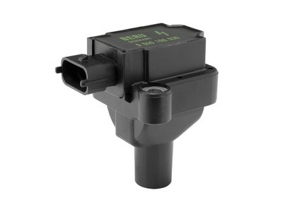 Aizdedzes spole BorgWarner (BERU) ZS030
