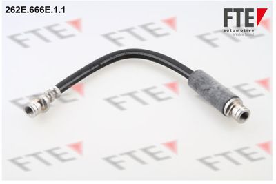 Тормозной шланг FTE 9240423