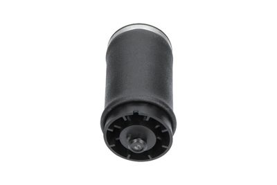 Pneimoatspere, Balstiekārta KAVO PARTS SAS-10035