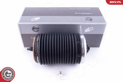 Pneimoatspere, Balstiekārta ESEN SKV 58SKV018