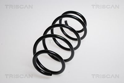 Пружина ходовой части TRISCAN 875029202