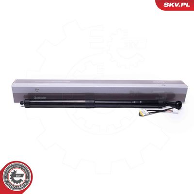 Электромотор, задняя дверь ESEN SKV 52SKV956