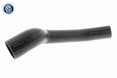 Pūtes sistēmas gaisa caurule VAICO V250948