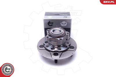 Комплект подшипника ступицы колеса ESEN SKV 29SKV313