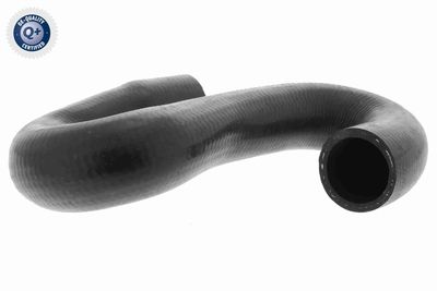 Radiatora cauruļvads VAICO V40-1171