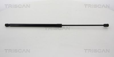 Gāzes atspere, Bagāžas/Kravas nodalījuma vāks TRISCAN 8710 42240