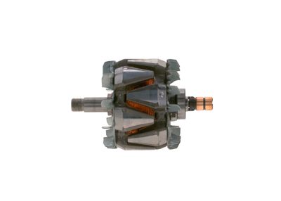 Rotors, Ģenerators BOSCH F 00M 131 692