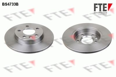 Тормозной диск FTE 9082113