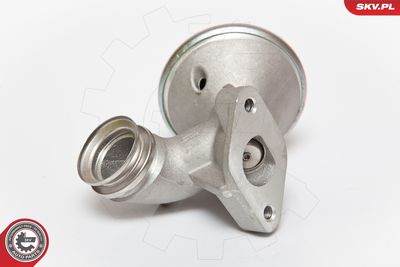 Клапан возврата ОГ ESEN SKV 14SKV075