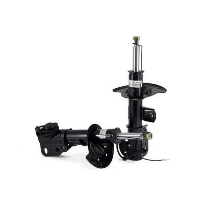 Amortizators Arnott SK-2167