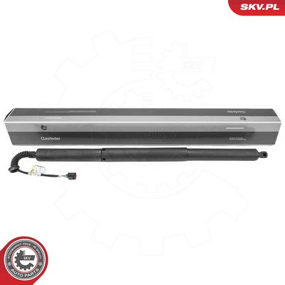 Электромотор, задняя дверь ESEN SKV 52SKV236