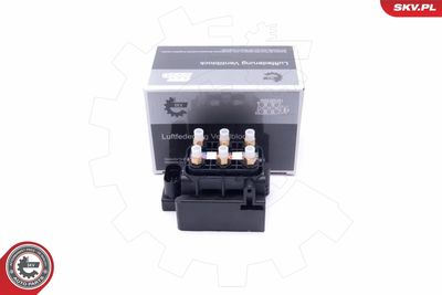 Vārsts, Pneimatiskā sistēma ESEN SKV 93SKV800